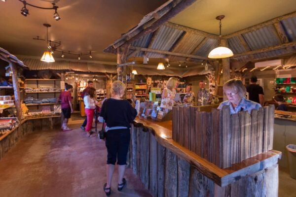 Shop-scaled-e1710544330862